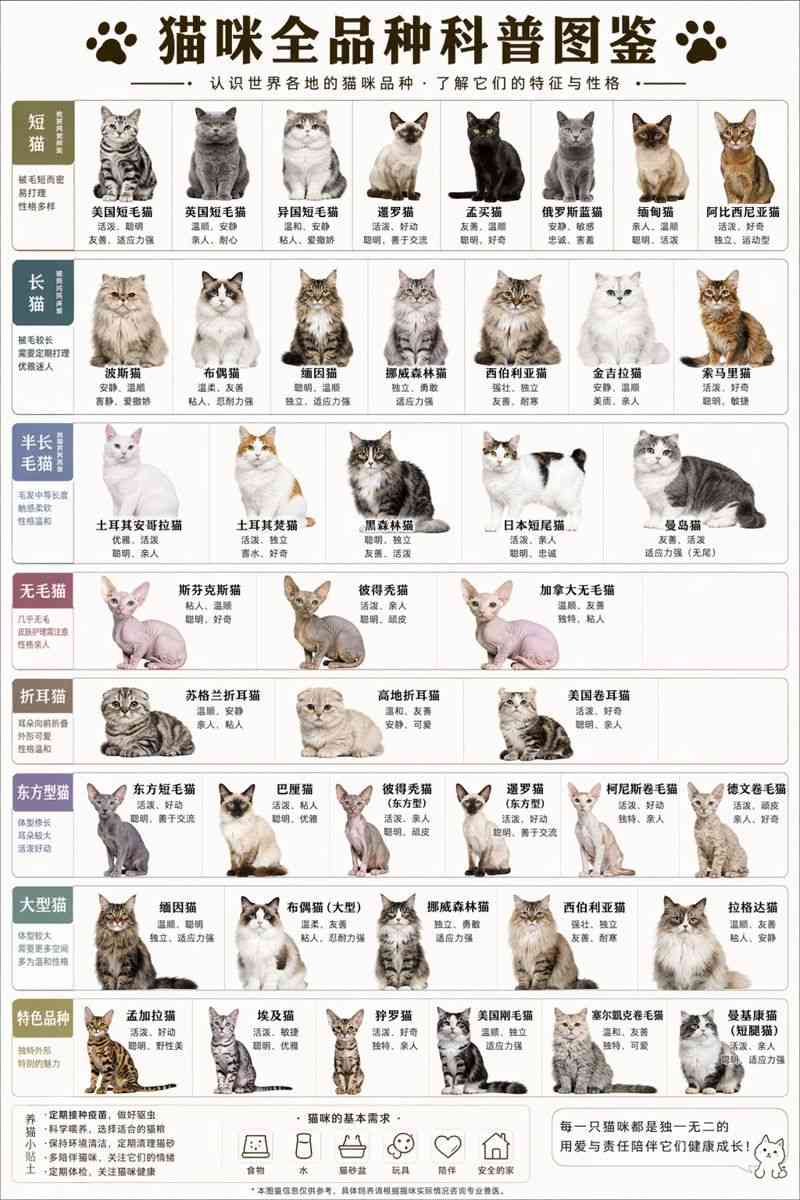 猫咪全品种科普图鉴：世界猫咪品种特征与性格介绍