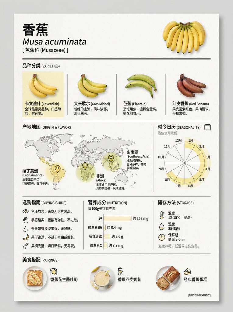 榴莲品种百科信息图：从产地到食用的博物馆级指南